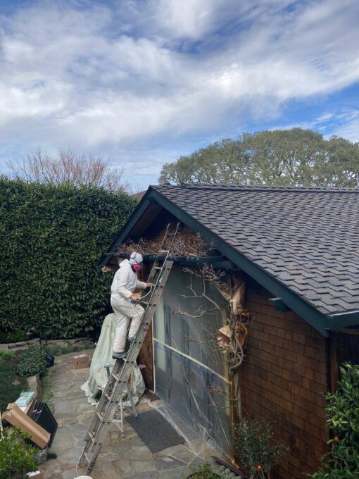  Exterior House Staining in Sausalito, CA