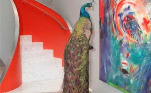 MB Jessee Painting in San Francisco’s Sea Cliff Neighborhood